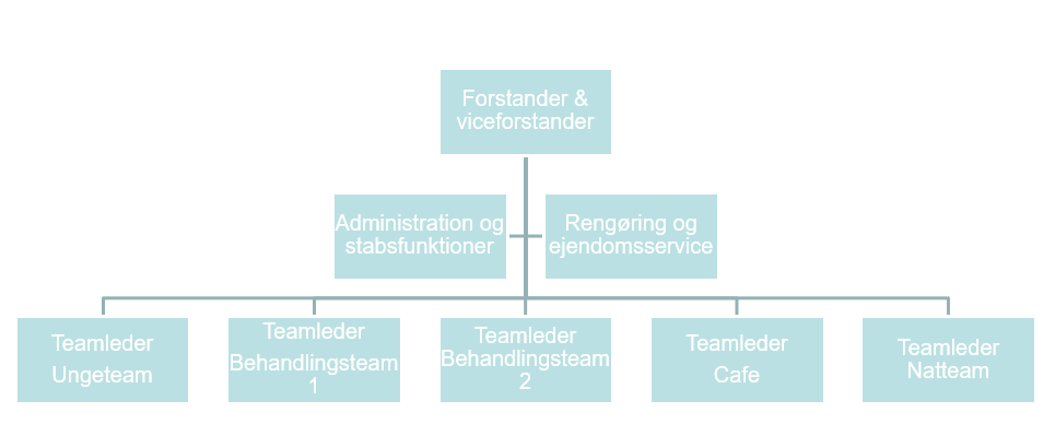 organisationsdiagram